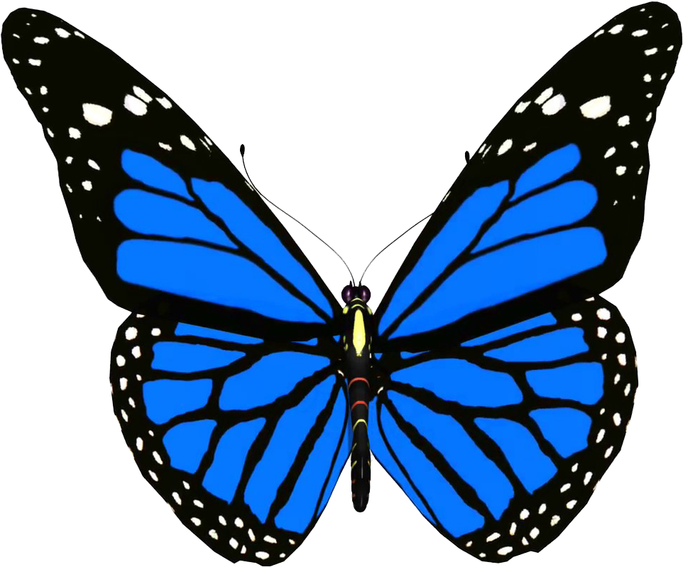 Vibrant Blue Butterfly.png PNG image