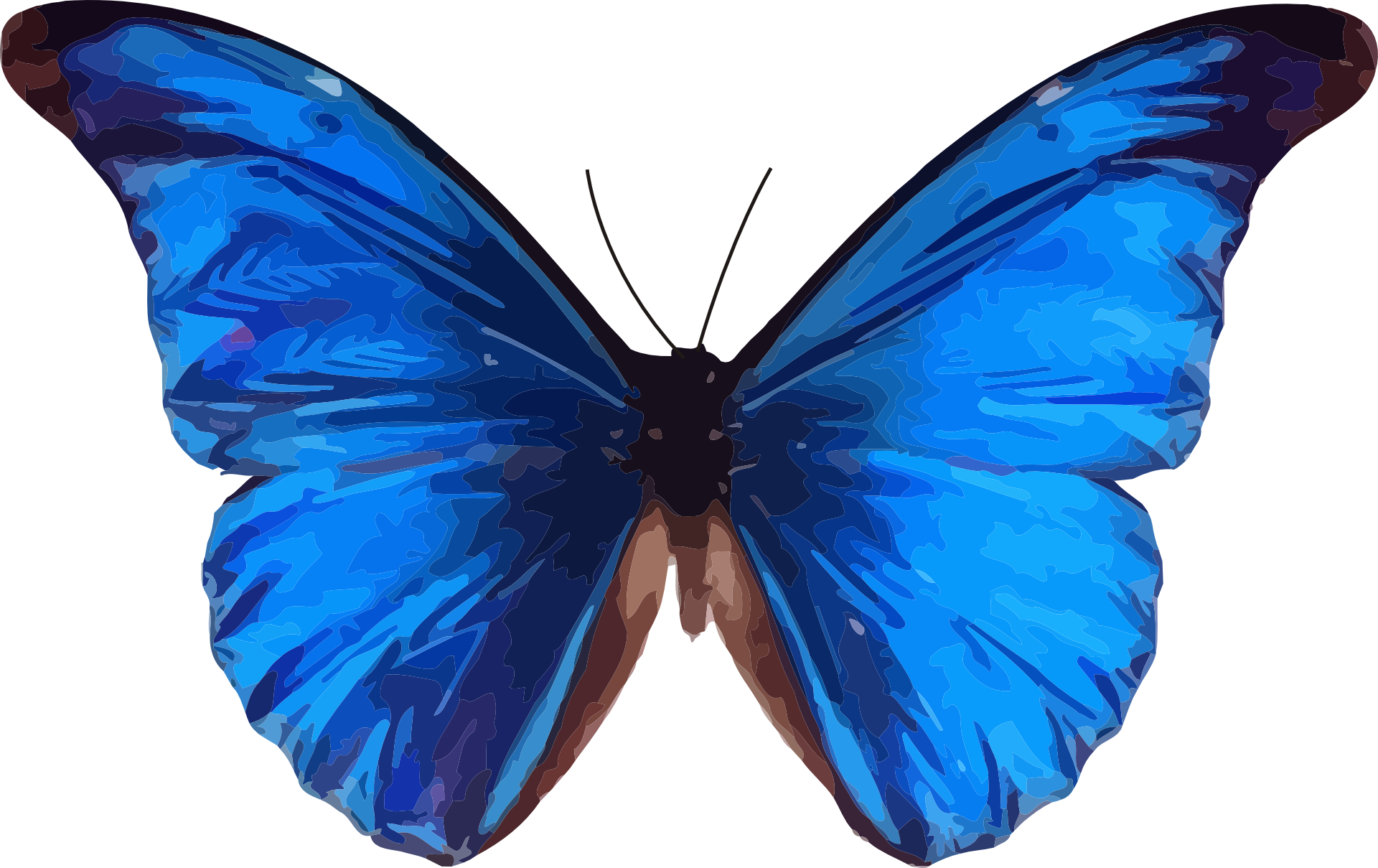 Vibrant_ Blue_ Butterfly_ Vector_ Art.png PNG image