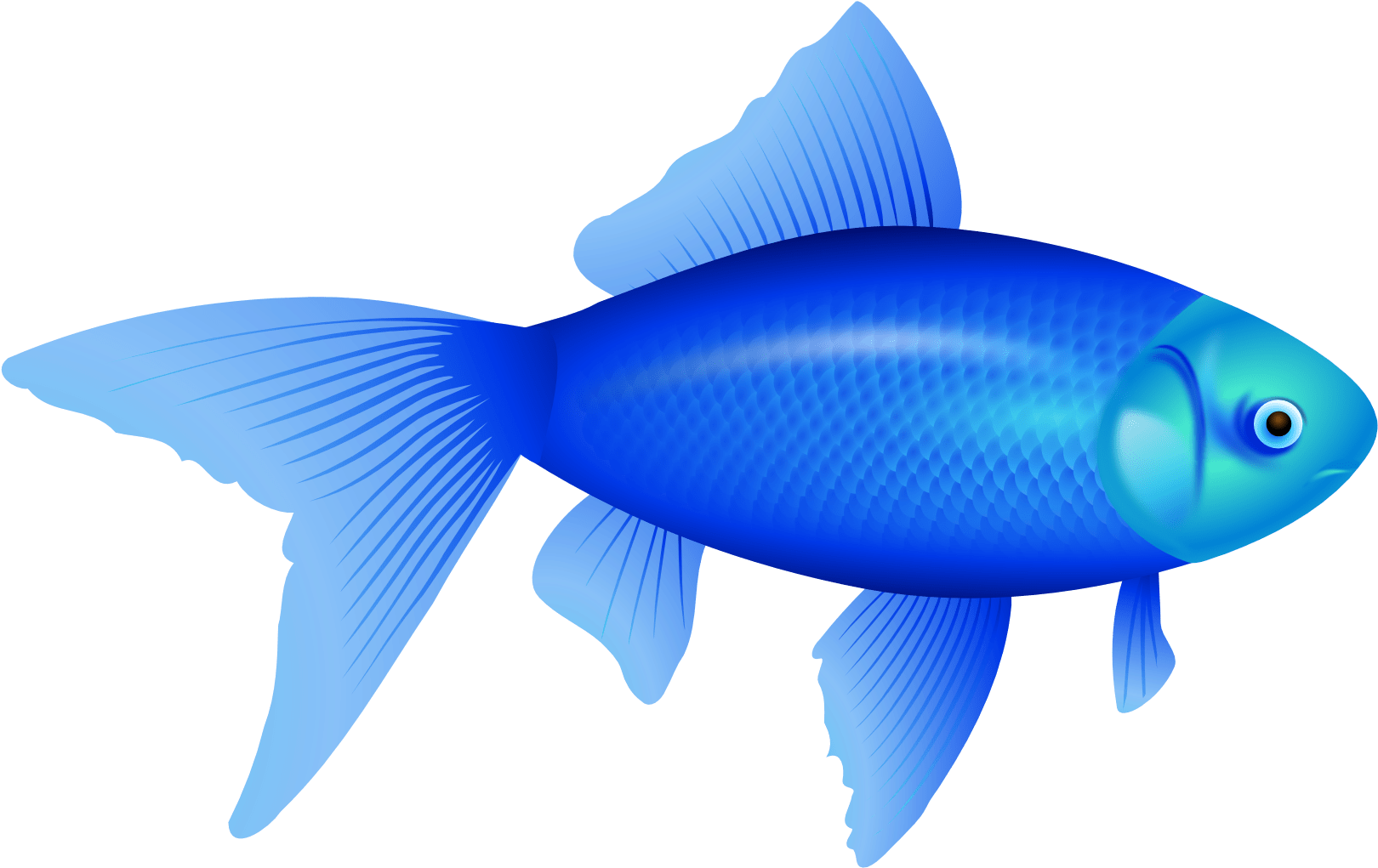 Vibrant_ Blue_ Fish_ Illustration.png PNG image