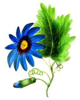 Vibrant Blue Flower Illustration PNG image