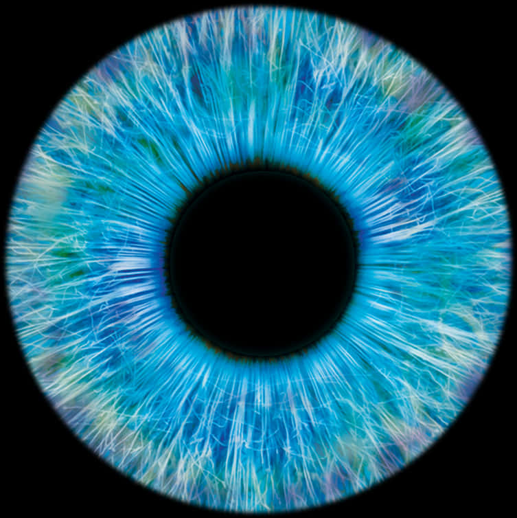 Vibrant Blue Human Iris Closeup PNG image