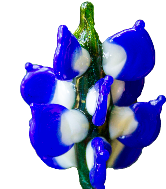 Vibrant Blue Hyacinth Blossom PNG image