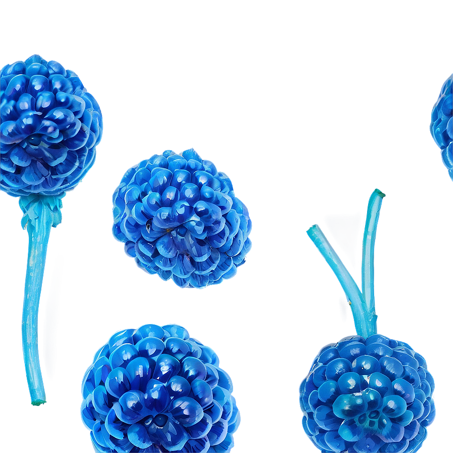 Vibrant Blue Raspberry Png 31 PNG image