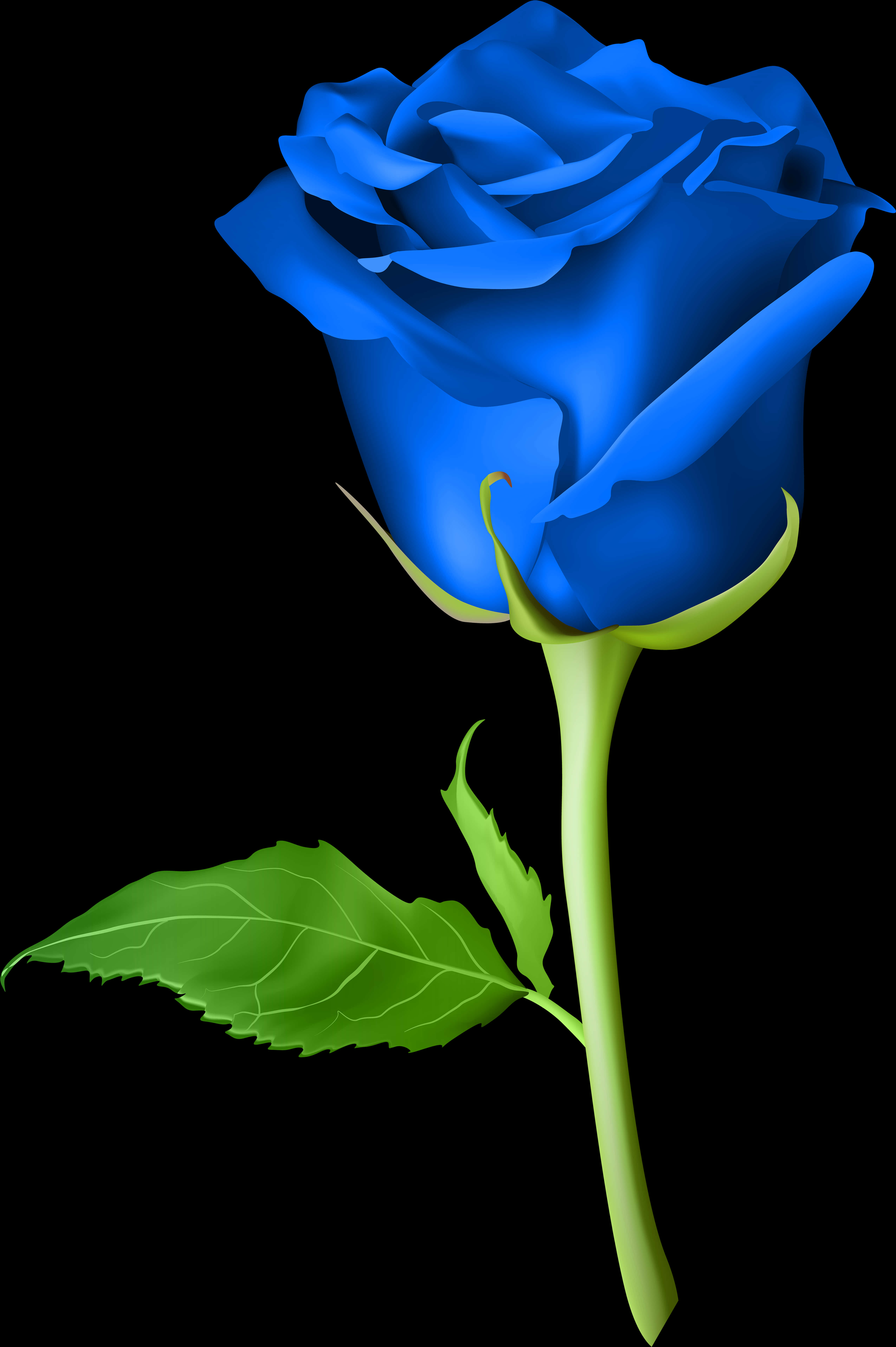 Vibrant Blue Roseon Black Background PNG image