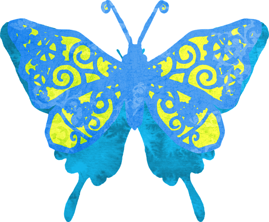 Vibrant Blue Yellow Patterned Butterfly PNG image