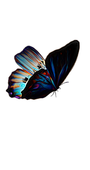 Vibrant Butterfly Artwork PNG image