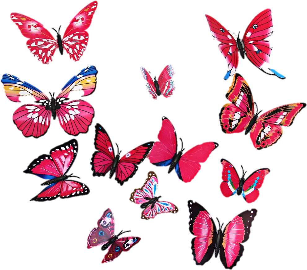 Vibrant Butterfly Collection Wall Art PNG image