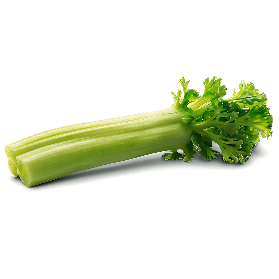 Vibrant Celery Stalk Png 50 PNG image