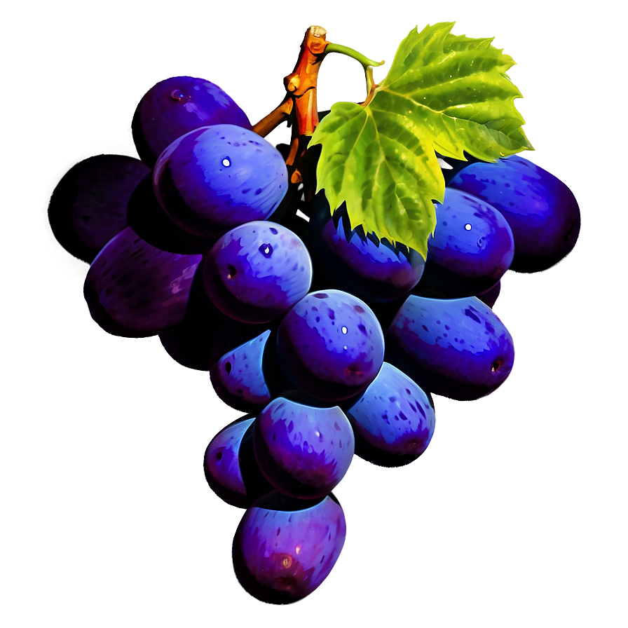 Vibrant Color Grape Png Exo PNG image