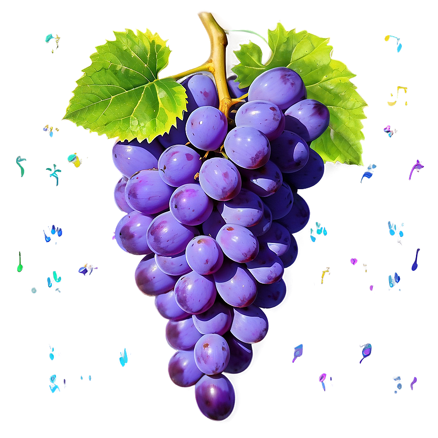 Vibrant Color Grape Png Kaa PNG image
