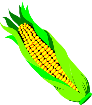 Vibrant Corn Illustration PNG image
