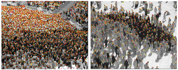 Vibrant Crowd Selective Color PNG image