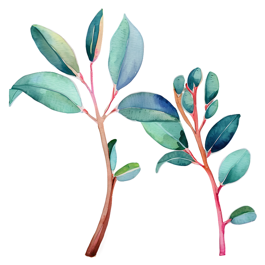 Vibrant Eucalyptus Watercolor Png Uix PNG image