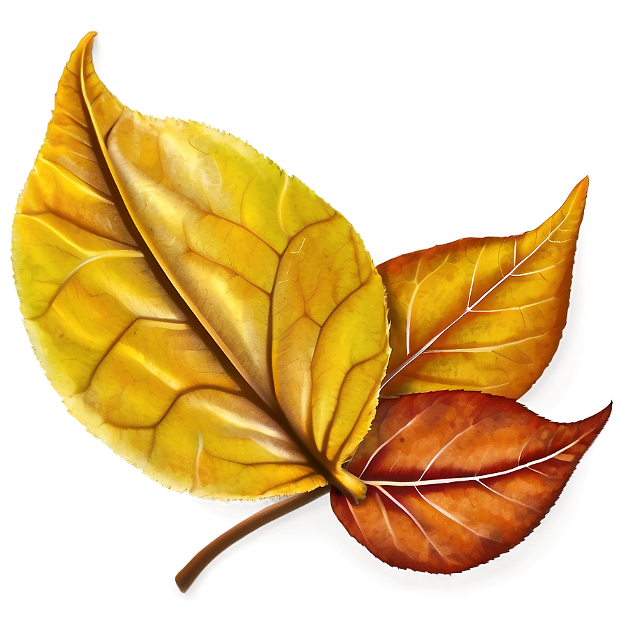 Vibrant Fallen Leaves Closeup Png Htk PNG image