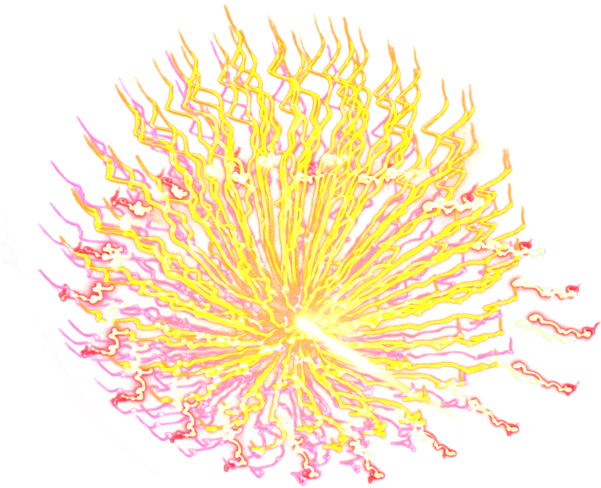 Vibrant Firework Explosion PNG image