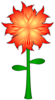 Vibrant Flame Flower Illustration PNG image