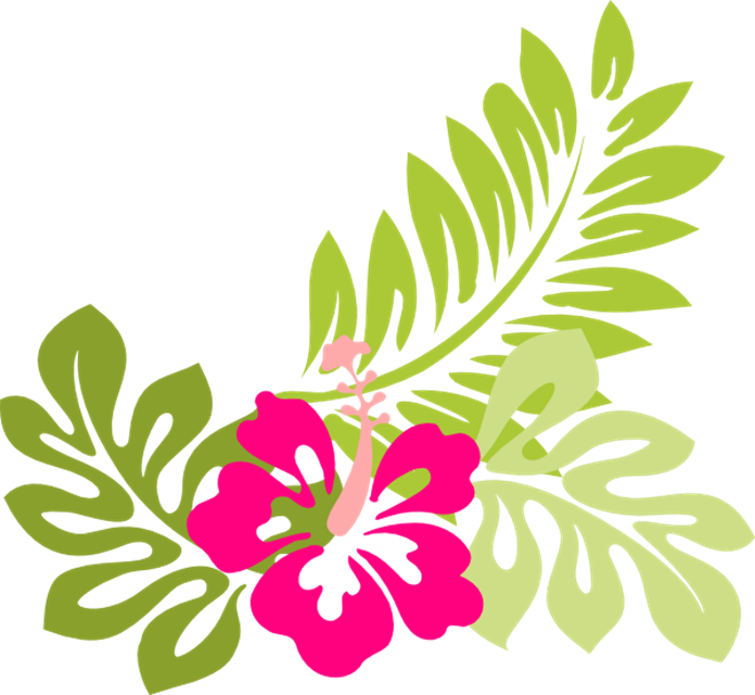 Vibrant Floral Clipart PNG image