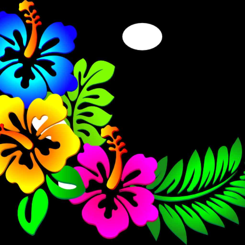 Vibrant Floral Designon Black Background PNG image