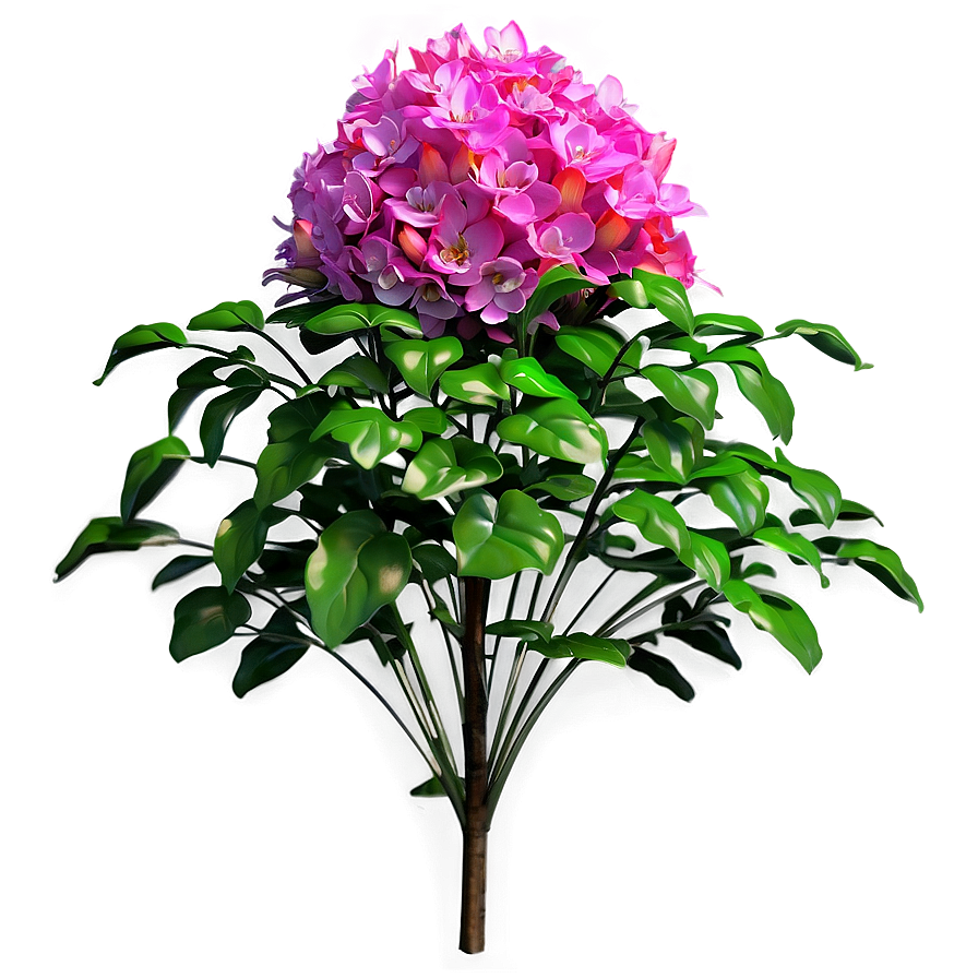 Vibrant Flower Bush Png 41 PNG image