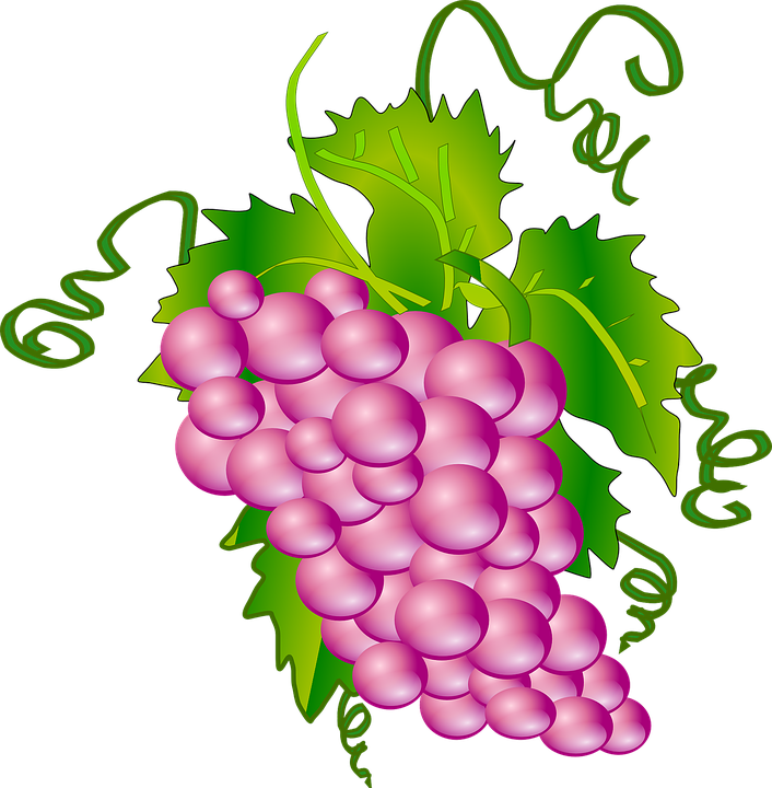 Vibrant Grape Cluster Illustration PNG image