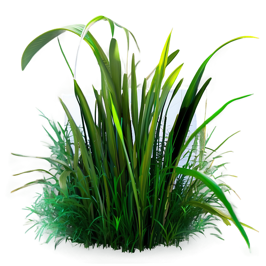 Vibrant Grass Patch Png Uwr PNG image