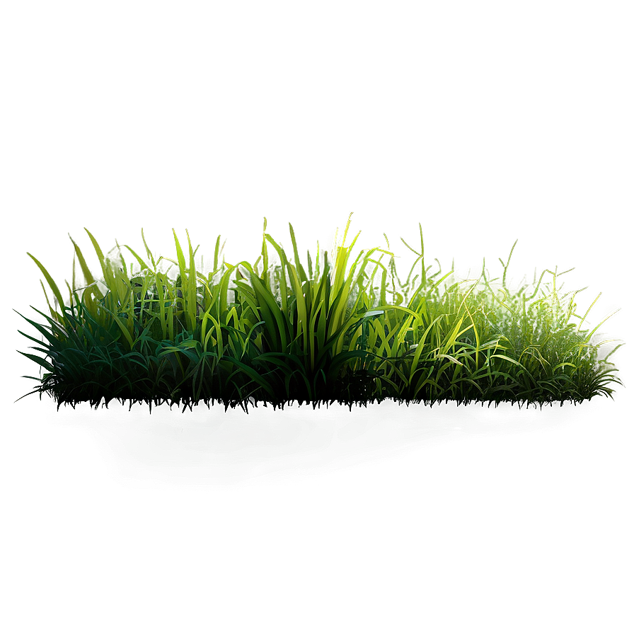 Vibrant Grass Patch Png Vhb PNG image