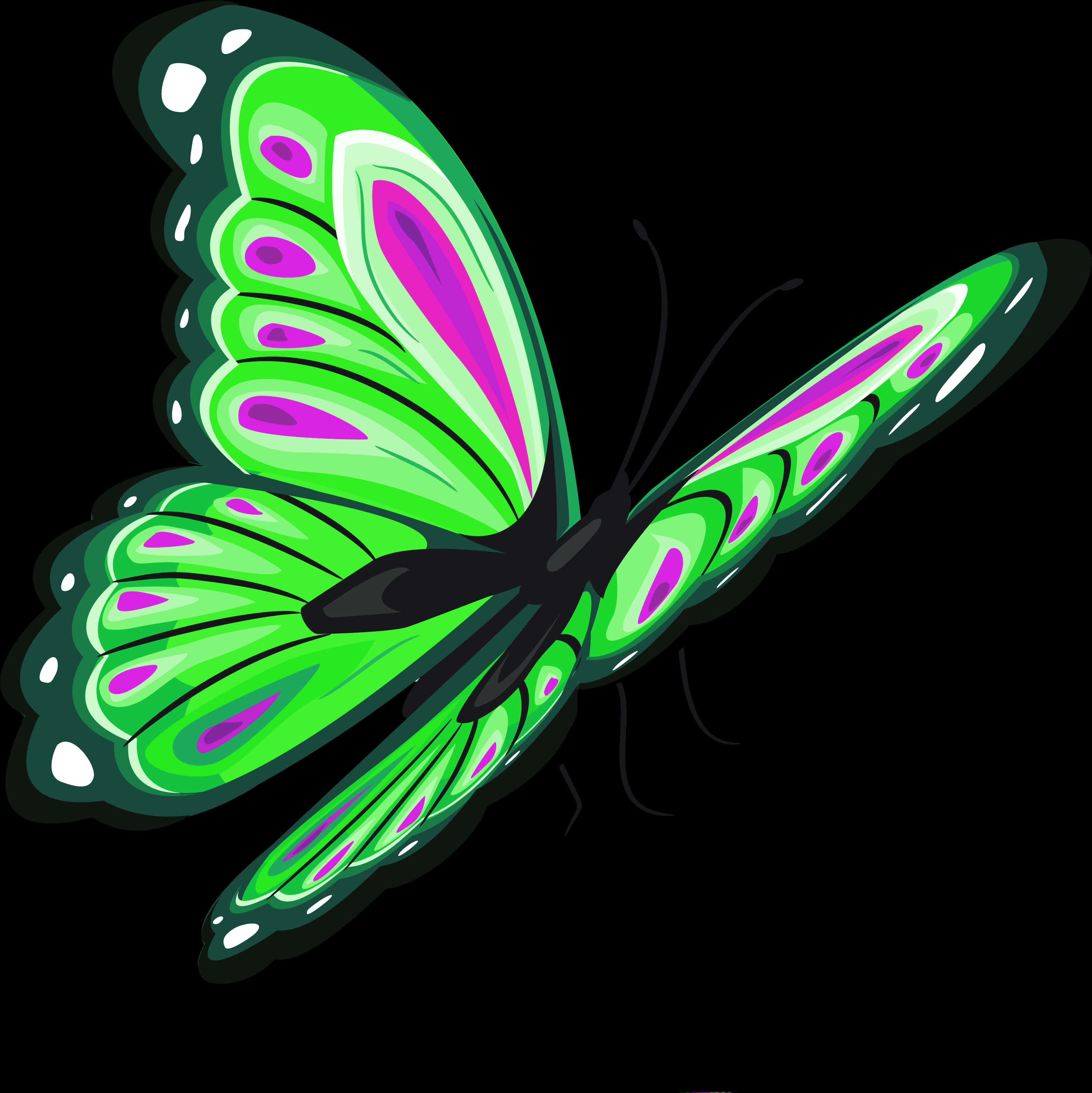 Vibrant Green Butterfly Illustration PNG image