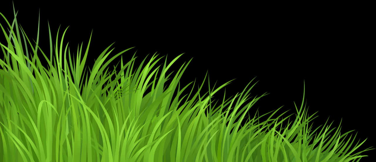 Vibrant Green Grass Background PNG image