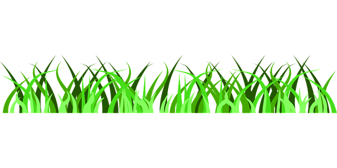 Vibrant Green Grass Vector PNG image