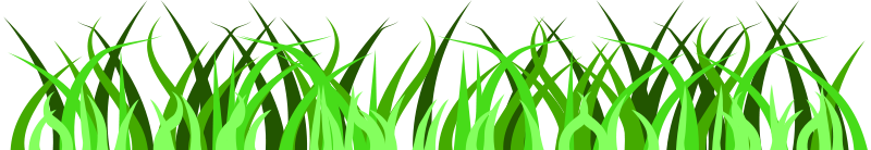 Vibrant Green Grass Vector PNG image