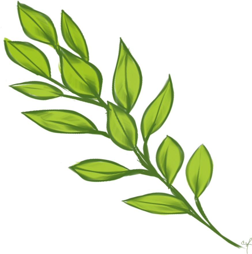 Laurel Leaves Png Images (100++)