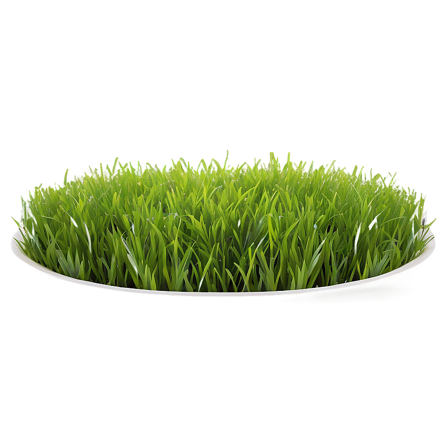 Vibrant Green Lawn Png Mvf58 PNG image