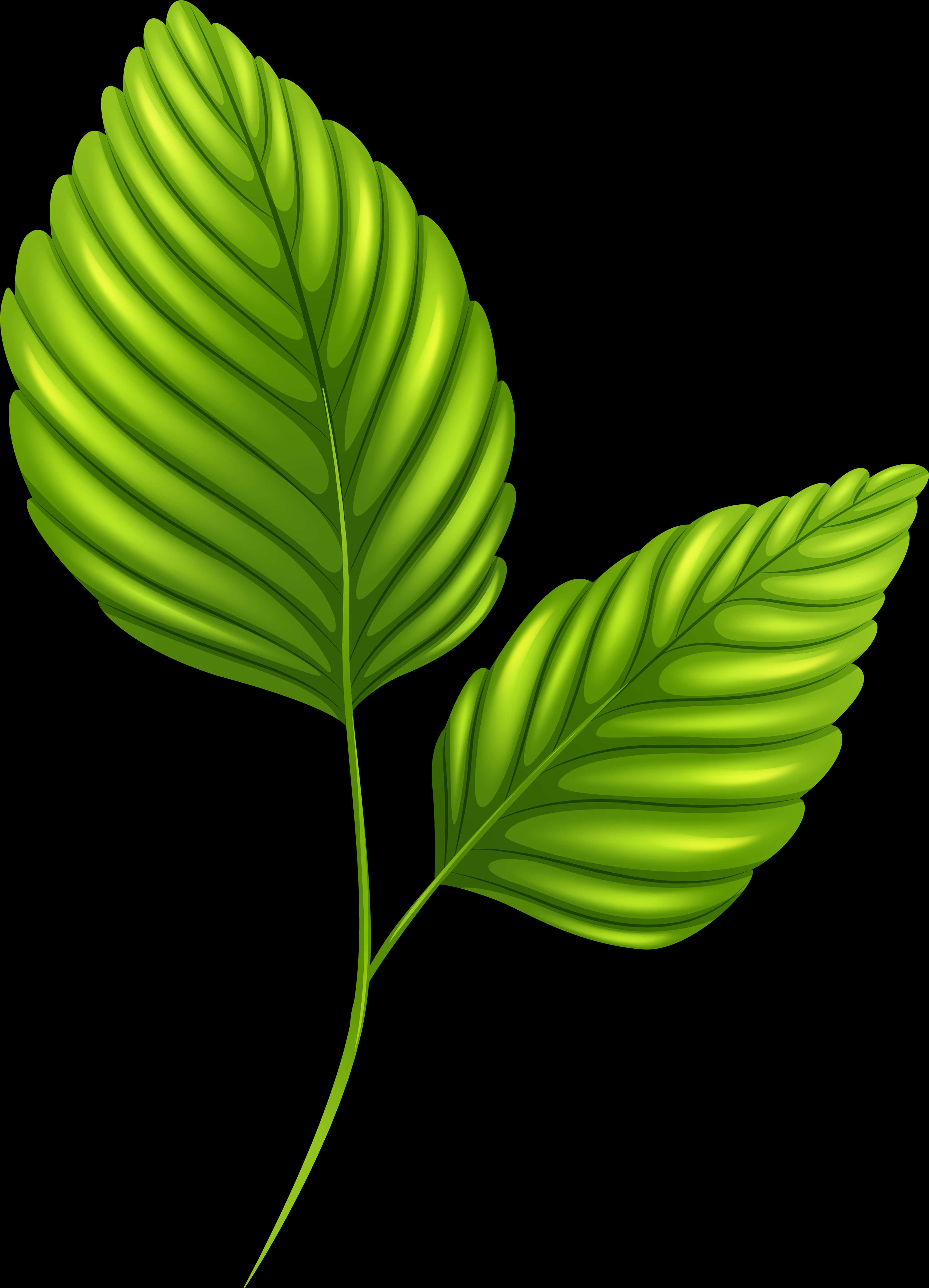 Vibrant Green Leaves Illustration PNG image