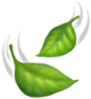 Vibrant Green Leaves Illustration PNG image