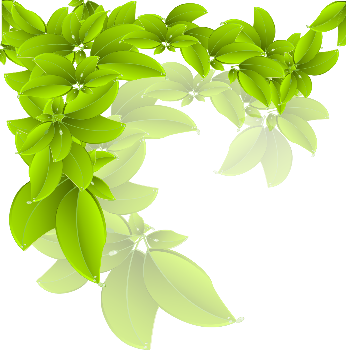 Vibrant Green Leaves Vector PNG image