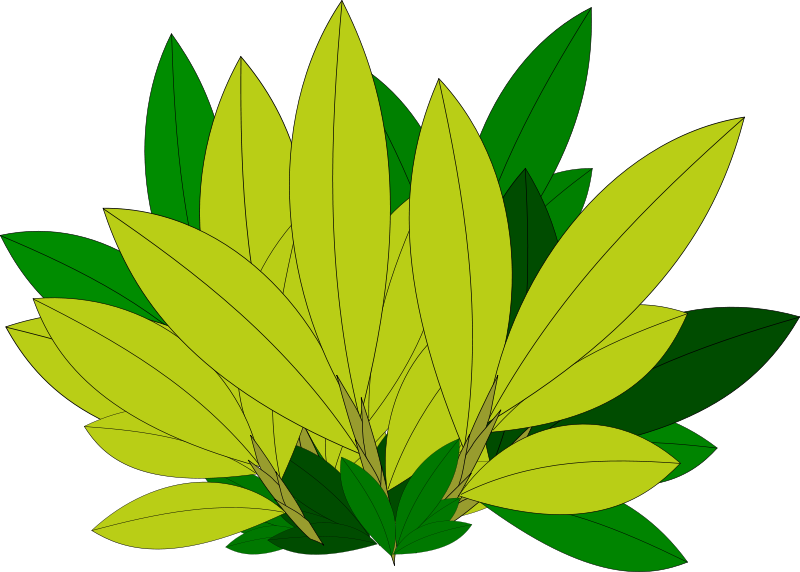 Vibrant Green Leaves Vector Illustration PNG image