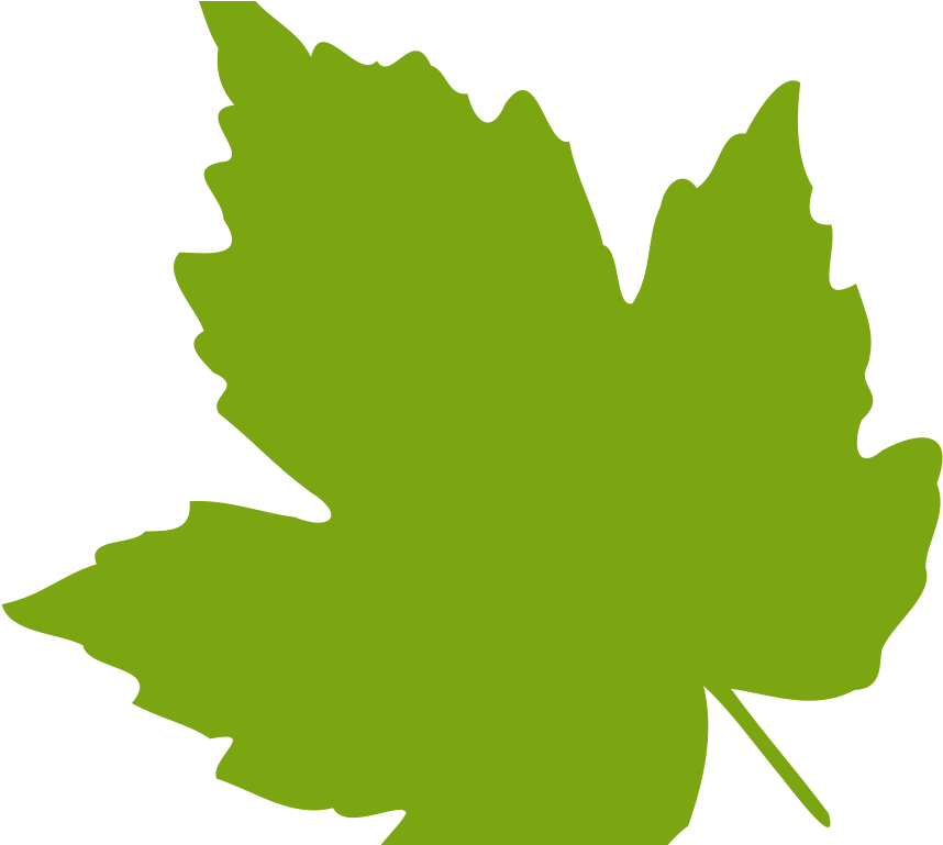 Vibrant Green Maple Leaf Graphic PNG image