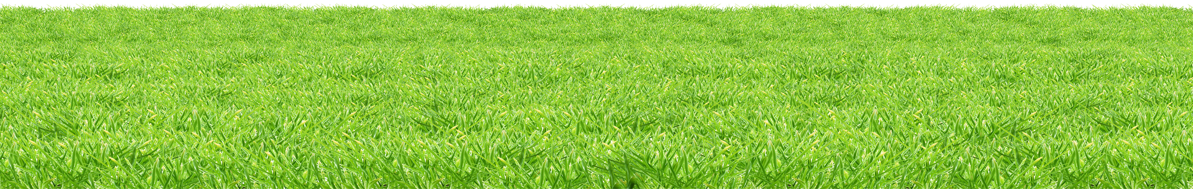 Vibrant Green Meadow Texture PNG image