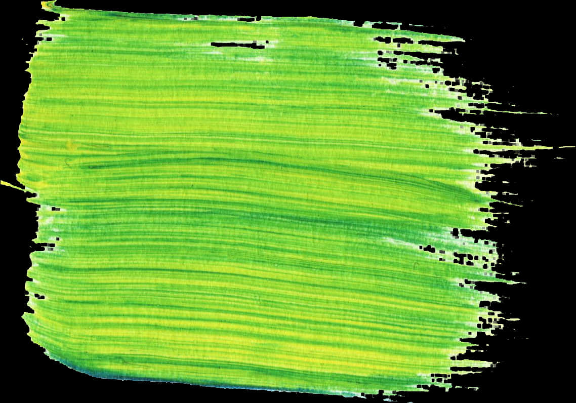 Vibrant Green Paint Brush Stroke PNG image
