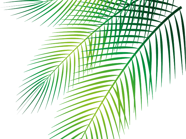 Vibrant Green Palm Fronds PNG image