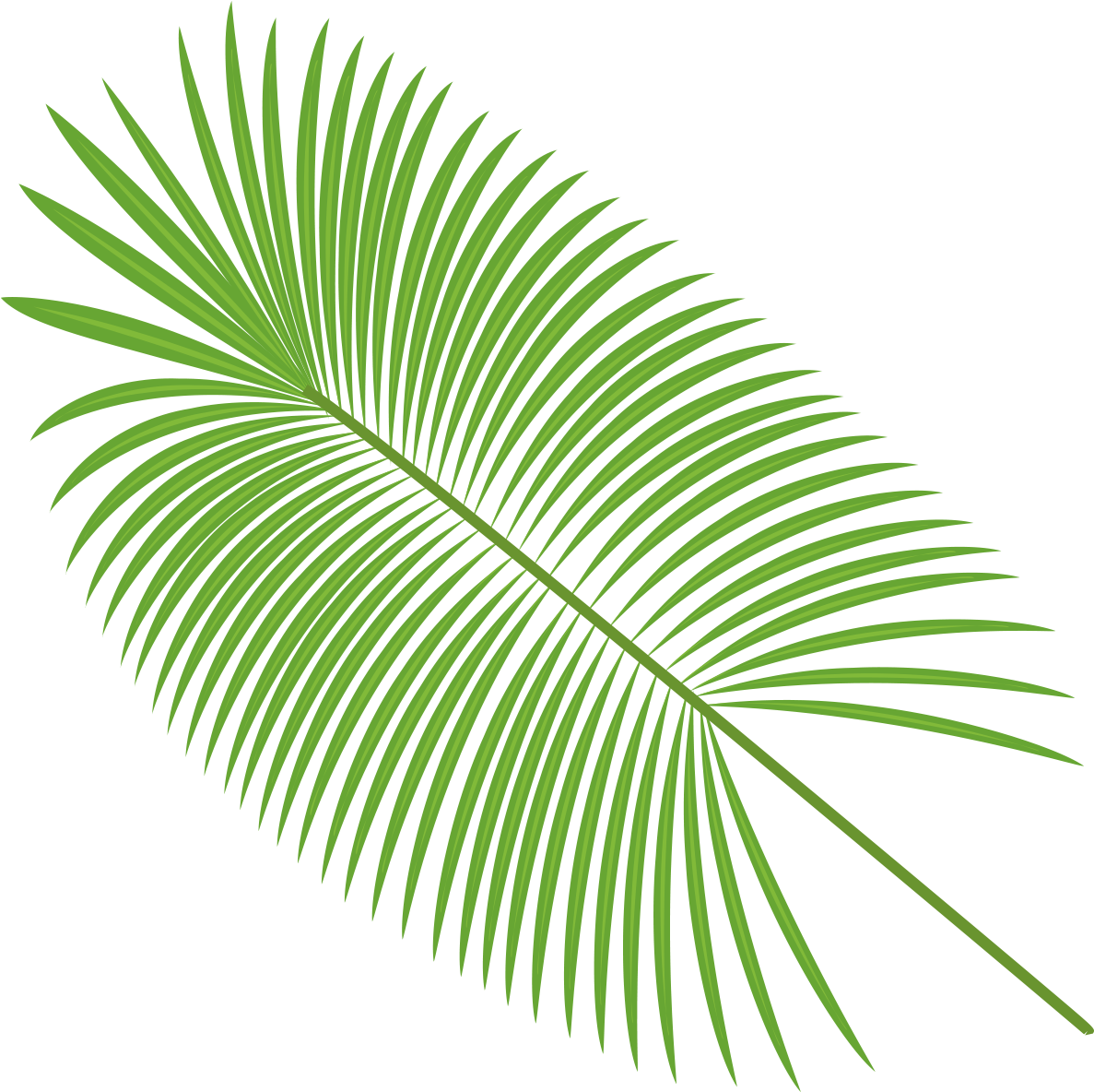 Vibrant Green Palm Leaf PNG image