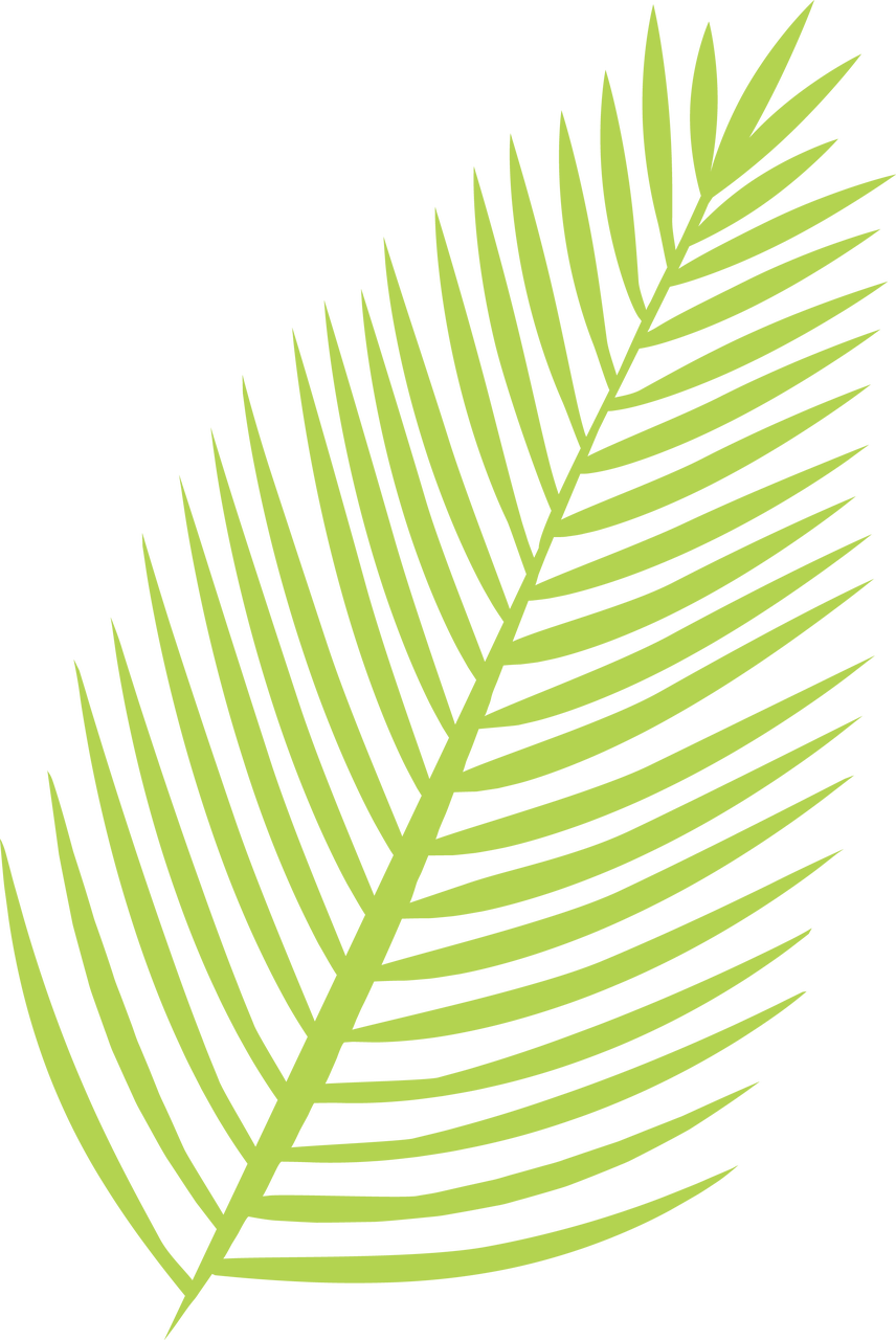 Vibrant Green Palm Leaf Graphic PNG image