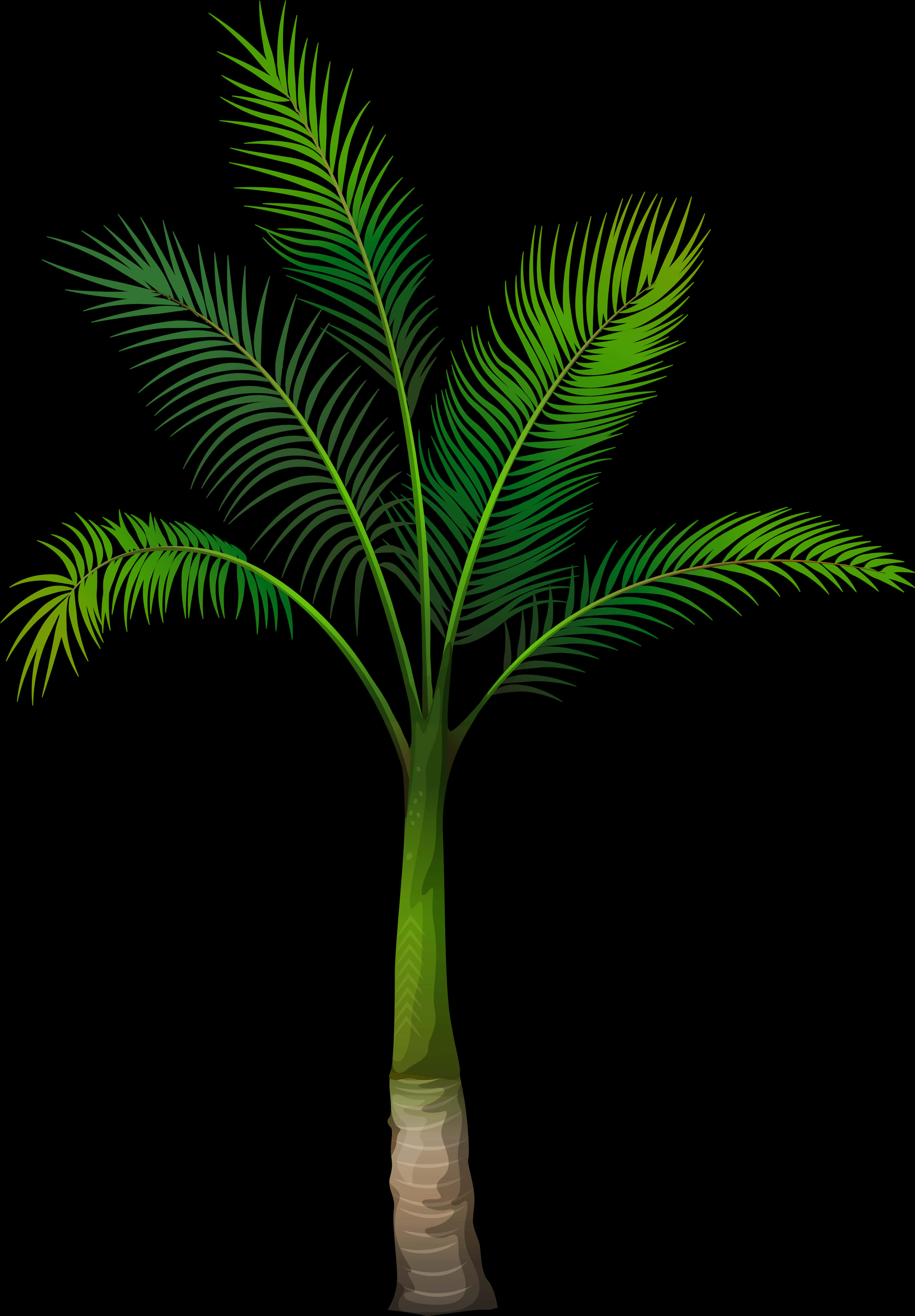 Vibrant Green Palm Tree Illustration PNG image