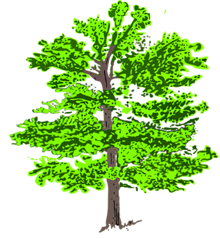 Vibrant Green Tree Illustration PNG image