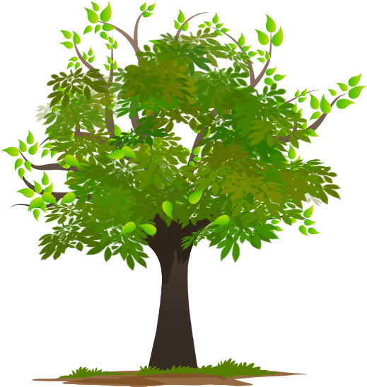 Vibrant Green Tree Illustration PNG image