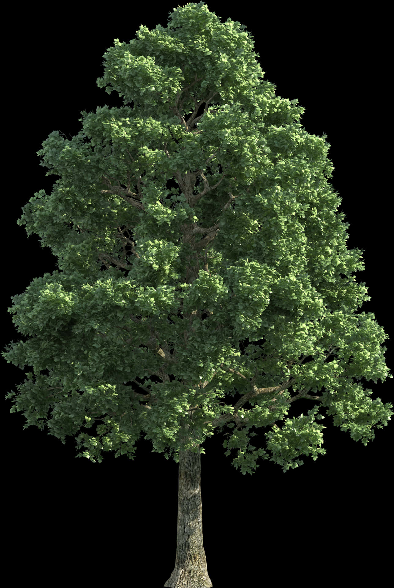 Vibrant Green Treeon Black Background PNG image