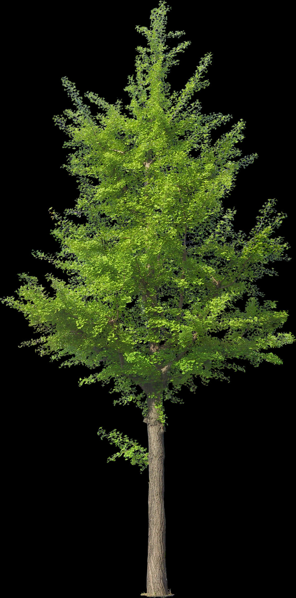 Vibrant Green Treeon Black Background PNG image