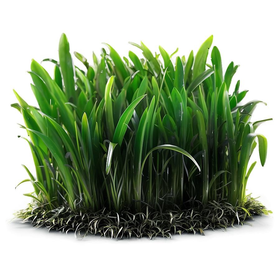 Vibrant Green Turf Grass Png Whv PNG image