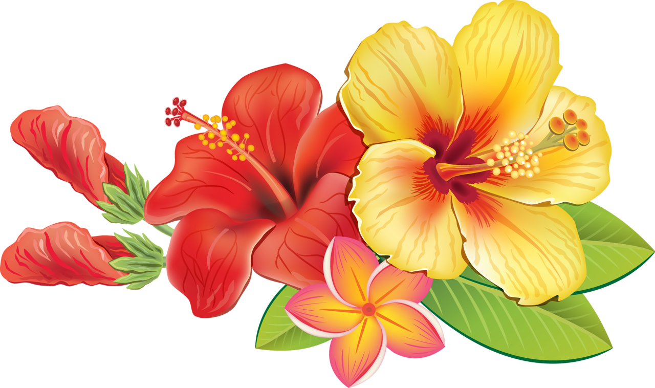 Vibrant_ Hawaiian_ Flowers_ Illustration PNG image