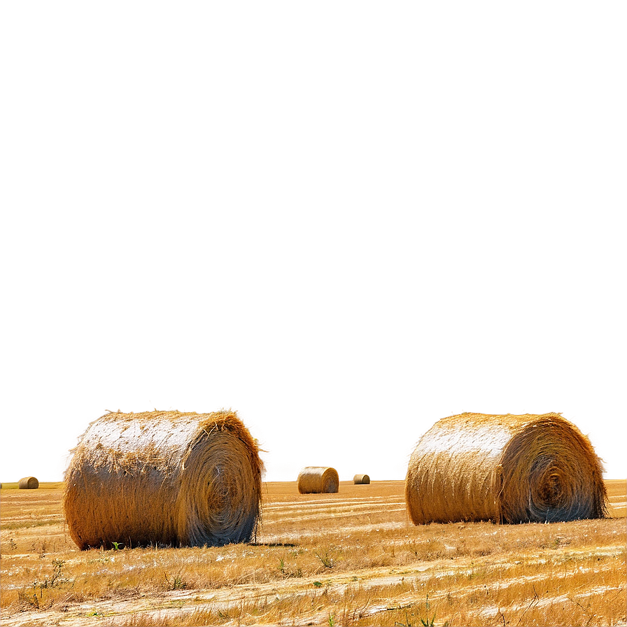 Vibrant Hay Field Png Vgt51 PNG image